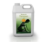 Camylle - Brume de Hammam Orange - Fragrances à base d'Huiles Essentielles pour Hammams, Bains de Vapeur ou Douches Hammam - Calmant aux arômes doux et fruités - 5000ml