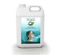 Camylle - Nuage Cèdre Litsea - Emulsion d'Huiles Essentielles pour Diffuseurs à Ultrasons - Stimule la convivialité aux arômes boisés et fruités - 5000ml