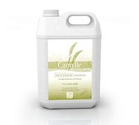 Camylle - Stérylane Hammam - Détergent et désinfectant pour le nettoyage des cabines de hammam, douches hammam et bains de vapeur - - 5000ml
