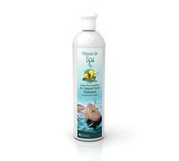 Camylle - Velours de Spa Cajeput/citron - Fragrance à base d'Huiles Essentielles 100% Pures et Naturelles pour Spa - Stimulant aux arômes frais et fruités - 500ml