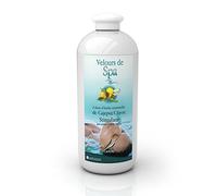 Camylle - Velours de Spa Cajeput/citron - Fragrance à base d'Huiles Essentielles 100% Pures et Naturelles pour Spa - Stimulant aux arômes frais et fruités - 1000ml
