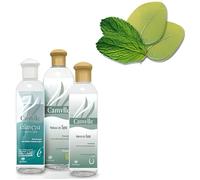 Camylle - Velours de Spa Eucalyptus/menthe - Fragrance à base d'Huiles Essentielles 100% Pures et Naturelles pour Spa - Rafraîchissant aux arômes frais et stimulants - 500ml