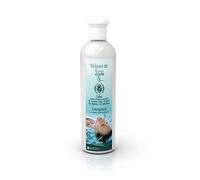 Camylle - Velours de Spa Luxe - Fragrance à base d'Huiles Essentielles 100% Pures et Naturelles pour Spa - Energisant aux arômes frais et envoûtants - 500ml