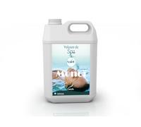 Camylle - Velours de Spa Safe MONOÏ - Parfum pour l'eau du Spa - Une Fragrance Solaire et Florale - 5000ml