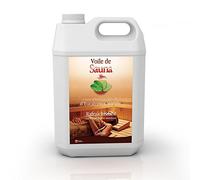 Camylle - Voile de Sauna Eucalyptus/menthe - Fragrances à base d’Huiles Essentielles 100% Pures et Naturelles pour Sauna - Rafraîchissant aux arômes frais et stimulants - 5000ml
