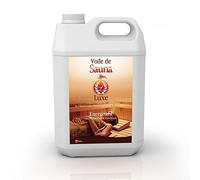 Camylle - Voile de Sauna Luxe - Fragrances à base d’Huiles Essentielles 100% Pures et Naturelles pour Sauna - Energisant aux arômes frais et envoûtants - 5000ml