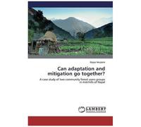 Can Adaptation And Mitigation Go Together?