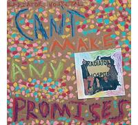 Can T Make Any Promises