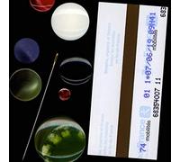 Can Thought Exist Without the Body