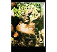 CAN WE SAVE AFRICAN WILDLIFE ?: Analysis, situation :Past, Present, Prospects.