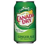 Canada Dry 33cl (pack de 24)