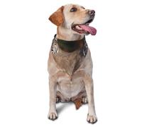 Canada Lynx Bandana pour chien et chat de petite et moyenne taille, accessoire photo, bandanas triangulaires réglables et lavables