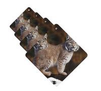 Canada Lynx Lot de 4 désodorisants pour voiture - Cartes parfumées à suspendre - Tablettes d'aromathérapie de voiture - Pour armoire, salle de bain, voiture, miroir intérieur