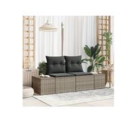 Canapé De Jardin 2 Places Vidaxl Avec Rangement Et Coussins En Poly Rattan Gris