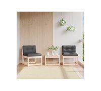 Vidaxl Canapés De Jardin Avec Coussins 2pcs Bois De Pin Massif
