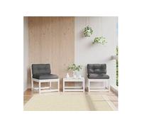 Vidaxl Canapés De Jardin Avec Coussins 2pcs Blanc Bois De Pin Massif