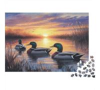 Canard au Soleil couchant Casse-tête 1000 Pièces avec Découpe De Précision, Jeu De Puzzles en Lot Puzzle De Développement Cognitif pour Une Activité Intergénérationnelle, Le Puzzle Le
