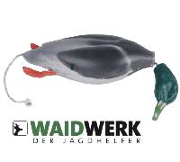 Canard colvert de rapport Waidwerk