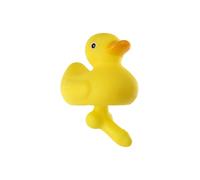 Canard Duck With a Dick