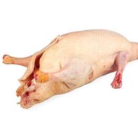 Canard Fermier - Canard Gras entier Direct Producteur - Volaille française