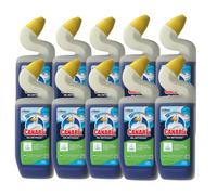 Canard WC Canard Gel Action Intense Marine - Gel Nettoyant et Désinfectant Toilettes - Tue 99,9% des Bactéries - Nouvelle Bouteille 50% Plastique Recyclé - Lot de 12
