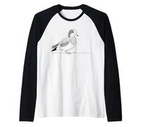 Canard Siffleur Dessin Ornithologue Manche Raglan