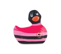 Canard vibrant multi couleur