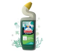 Canard WC Gel Nettoyant Formule Sans Acide Fort - Elimine Taches & Calcaire - Parfum Forêt Aquatique - 750 ml