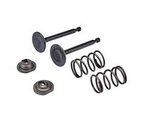 Cancanle Jeu de Ressorts, Clavettes et Capuchons de Soupape d'Admission et d'Échappement pour Honda GX160 GX200 168F 170F 4.1-4.8kW 5.5-6.5HP Moteur à Essence Générateur Tondeuse