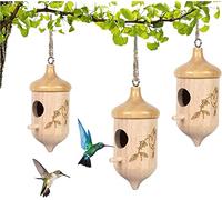 Cancer Across Time and Civilizations: A Historical and Biological Translation