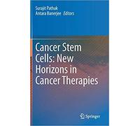 Cancer Stem Cells: New Horizons In Cancer Therapies