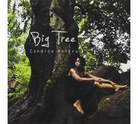 Candice Anitra - Grand arbre