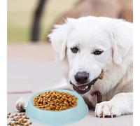 Candy Gamelles rondes en plastique pour chien et chat - Facile à nettoyer - Bleu - 15 x 18 x 5,5 cm