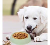 Candy Gamelles rondes en plastique pour chien et chat - Facile à nettoyer (vert, 15 x 18 x 5,5 cm)
