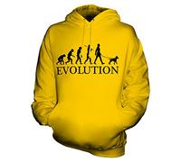 Candymix American Pitbull Terrier Évolution Unisexe Sweat Pull à Capuche Homme Femme, Taille Large, Couleur Jaune Foncé