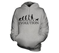 Candymix American Pitbull Terrier Évolution Unisexe Sweat Pull à Capuche Homme Femme, Taille Medium, Couleur Gris Chiné