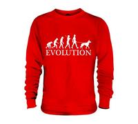 Candymix Malinois Chien Évolution Unisexe Sweat-Shirt Homme Femme, Taille 3X-Large, Couleur Rouge