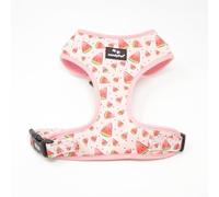 candyPet®- Adjustable Dog Collar and Chest Harness, Neoprene and Breathable Mesh, Watermelon, L