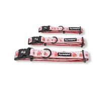 candyPet - Adjustable Nylon Click Collar, Neoprene Padded Interior, Watermelon, M