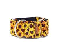 candyPet® Martingale Dog Collar - Sunflowers, Special Width