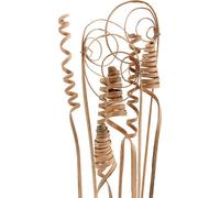Cane Assortiment Mini Nature 75 pcs - Décoration naturelle, loisirs créatifs, fleurs séchées