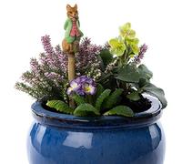 Cane Companions Beatrix Potter Décoration de Jardin Faite à la Main Mr Tod pour Pot de Fleurs