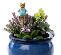 Cane Companions Beatrix Potter Tom Kitten Piquet pour Pot de Fleurs Fait Main Figurine d'extérieur
