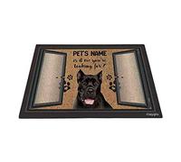 Cane Corso Drôle, C'est Moi Que Tu Cherches Tapis De Porte Confortable Paillasson De Bienvenue Facile À Nettoyer Tapis De Bain pour Terrasse D'Entrée Salon 40X60Cm