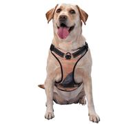 Cane Corso, Gros Chiens Noirs, Animaux de Compagnie,Harnais pour Animaux de Compagnie, Harnais réfléchissant réglable pour Chien,M
