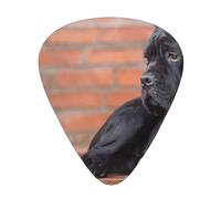 Cane Corso, gros chiens noirs, animaux de compagnie,Lot de 12 médiators de guitare, 3 épaisseurs différentes pour guitare acoustique, basse, ukulélé