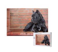 Cane Corso Gros Chiens Noirs Animaux, Puzzle 1000 pièces en Bois pour Adultes et Adolescents, Jeu Familial, décoration Murale