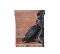 Cane Corso Gros Chiens Noirs Animaux, Sac de Rangement pour Femmes, Portefeuille supérieur à Presser, Petit Porte-Monnaie, Pochette de Changement