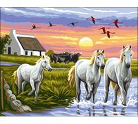 Canevas Antique Camargue Rafael Angelo 50x65cm