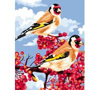 Canevas Antique Rêves D'oiseaux 50x65 Cm 100% Coton